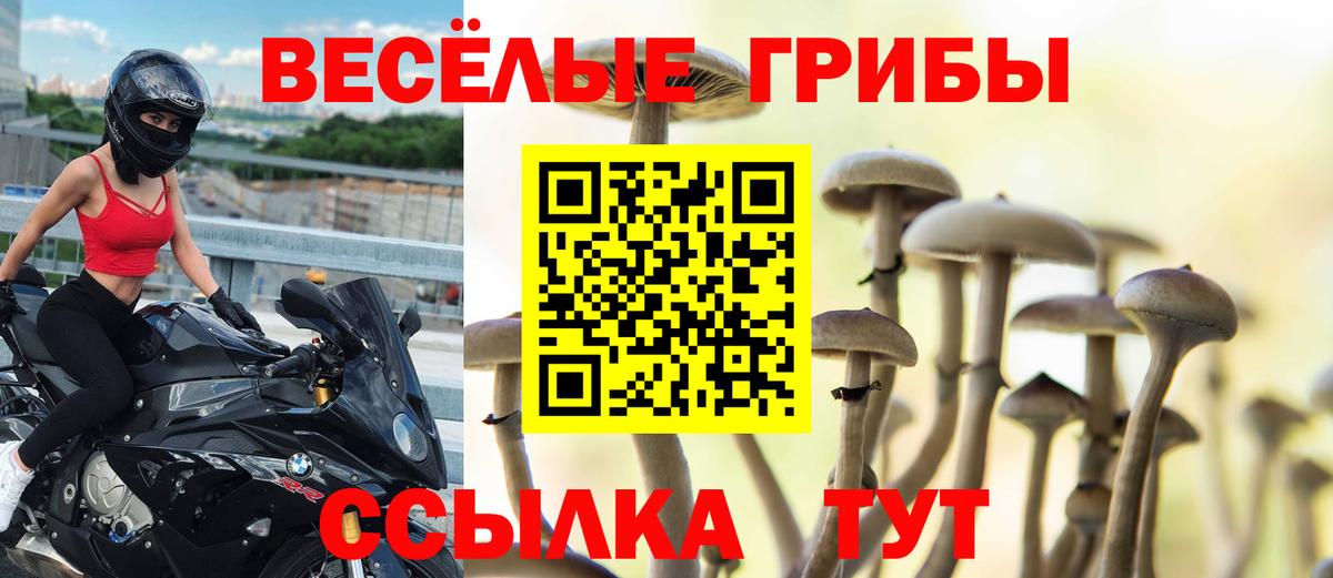 Галлюциногенные грибы мицелий  Вход с VPN  Среднеуральск  Псилоцибиновые грибы Cubensis 